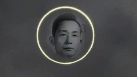 豆娃爱糖果3