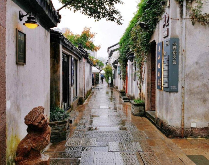 茂密丛林逃生
